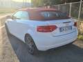 Audi A3 A3 Cabrio 2.0 tdi Attraction s-tronic Alb - thumbnail 5