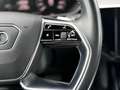 Audi e-tron E-tron 55 quattro advanced Pro Line Plus 95 kWh Blau - thumbnail 21
