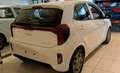 Kia Picanto Picanto 1.0 12V GPL 5 porte Urban Bianco - thumbnail 8