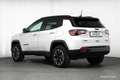 Jeep Compass Trailhawk 4xe 240 LEDER MEGAPREIS ++ Weiß - thumbnail 4