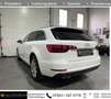 Audi A4 2.0 TDI ultra S-TRONIC Avant *NAVI*LED*PDC* Weiß - thumbnail 6
