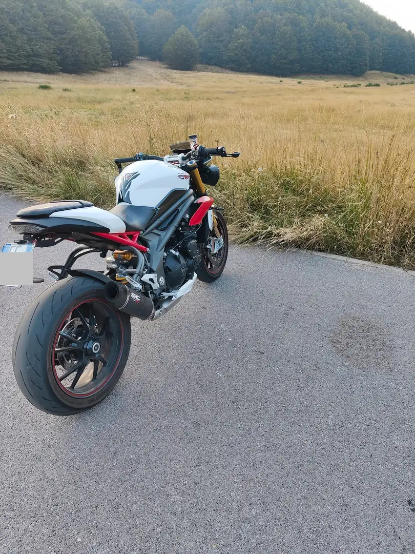 Triumph Speed Triple R r 2016 abs - 2