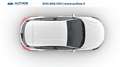 Ford Focus 1.5 ecoblue ST-Line 115cv auto Bianco - thumbnail 4