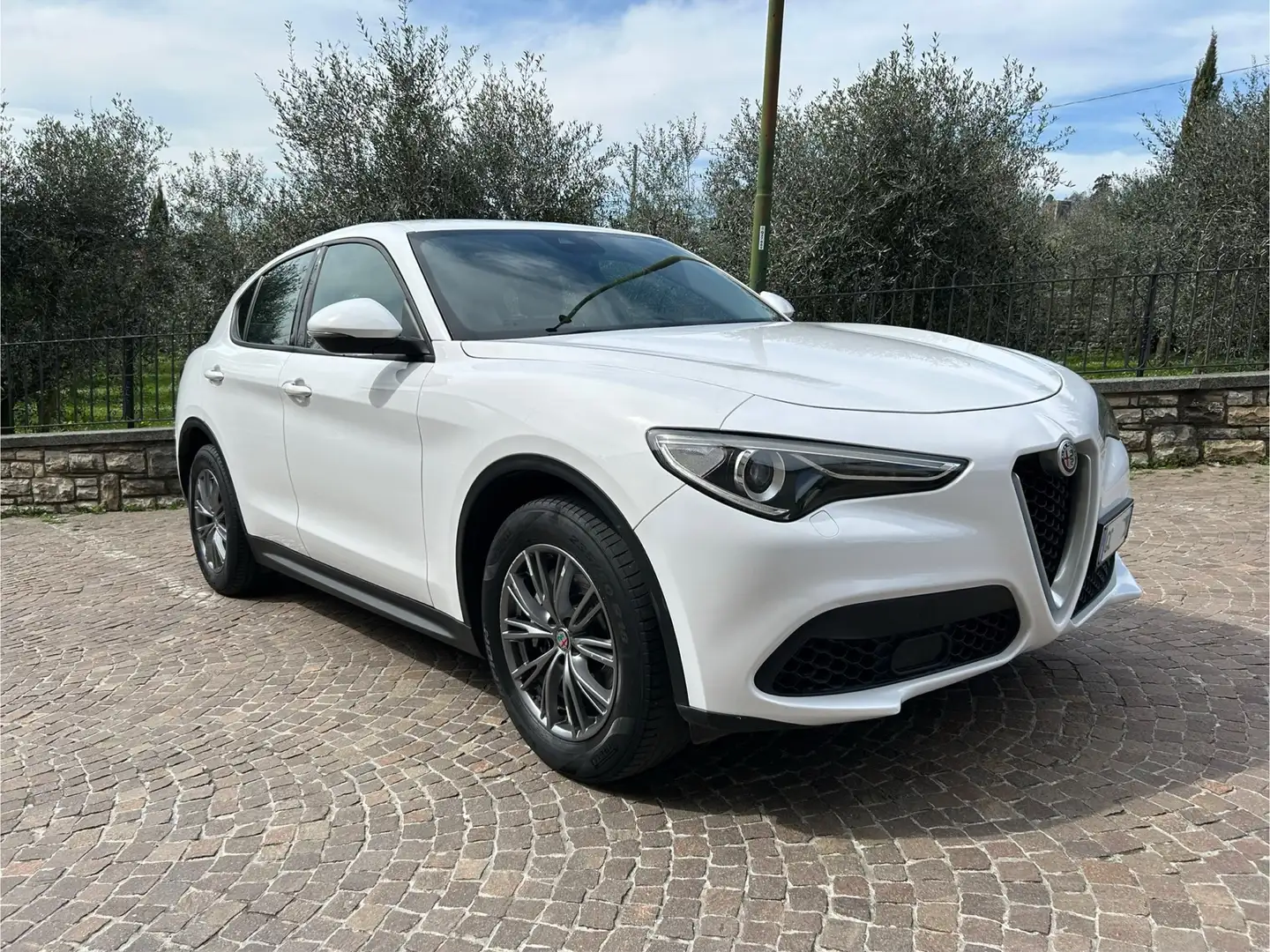 Alfa Romeo Stelvio alfa romeo stelvio 2.2turbodiesel 160cv - 2