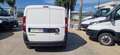 Fiat Doblo 1.6 MJT 90 CV -2022 EURO 6D Blanc - thumbnail 4