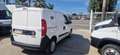 Fiat Doblo 1.6 MJT 90 CV -2022 EURO 6D Blanc - thumbnail 5