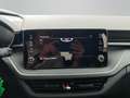 Skoda Fabia Essence Blau - thumbnail 13