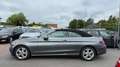 Mercedes-Benz C 220 d Cabrio | AUTOMATIK | NAVI | LED | SHZ Grau - thumbnail 9