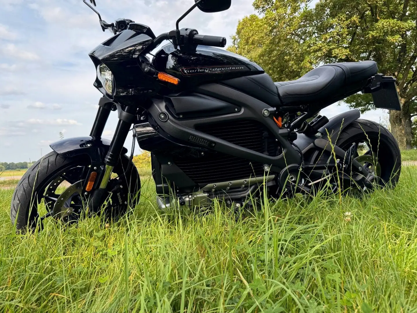 Harley-Davidson LiveWire Heckumbau HarleyFactory Negru - 1