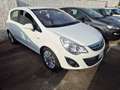 Opel Corsa Corsa 1.4 16V 5 porte Cosmo Bianco - thumbnail 4