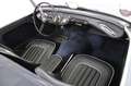 Austin-Healey 100 - thumbnail 10