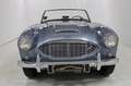 Austin-Healey 100 - thumbnail 3