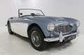Austin-Healey 100 - thumbnail 2