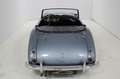 Austin-Healey 100 - thumbnail 8