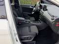 Mercedes-Benz B 180 Ambition Automaat Navi Blanc - thumbnail 17