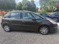 Citroen C4 Picasso HDi 110 Jubiläums Collection Braun - thumbnail 4