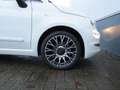 Fiat 500 1.0 Hybrid Star *Big Navi *Carplay *Nieuwste model Wit - thumbnail 12