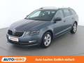 Skoda Octavia 1.6 TDI Style Grau - thumbnail 1
