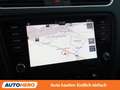 Skoda Octavia 1.6 TDI Style Grau - thumbnail 21