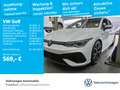 Volkswagen Golf VIII 2.0 TSI DSG 4Motion R Navi LEDPlus DAB Weiß - thumbnail 1