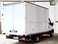 Iveco Daily 35C14 BTor 2.3 140cv Boxato Trasporto Mobili Blanc - thumbnail 7