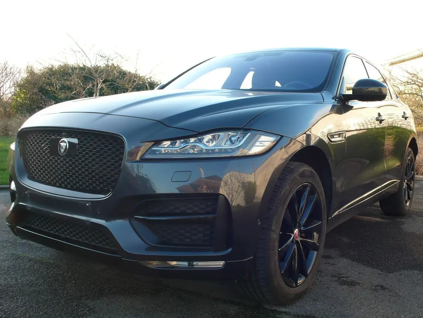 Jaguar F-Pace 2.0 D - R design - full options Grijs - 1