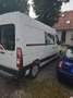 Opel Movano Movano 2.3 CDTI L2H3 DPF 2WD VA Weiß - thumbnail 5