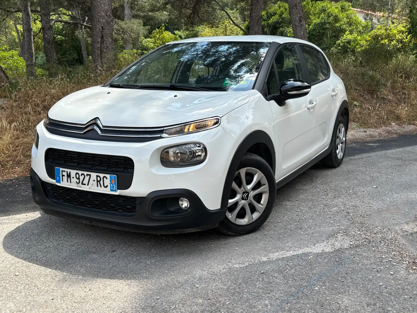Citroen C3 C3 BlueHDi 100 S - 1