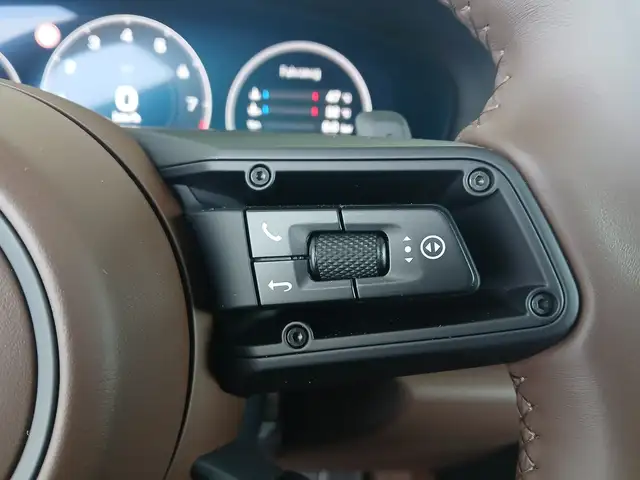 Porsche 911 Carrera 4 GTS Ansicht 15