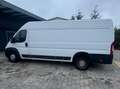 Fiat Ducato Maxi L4H2 Weiß - thumbnail 1