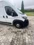 Fiat Ducato Maxi L4H2 Weiß - thumbnail 4