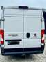 Fiat Ducato Maxi L4H2 Weiß - thumbnail 5