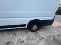Fiat Ducato Maxi L4H2 Weiß - thumbnail 14