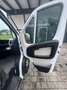 Fiat Ducato Maxi L4H2 Weiß - thumbnail 8
