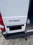 Fiat Ducato Maxi L4H2 Weiß - thumbnail 10
