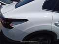 Citroen C4 X BlueHDi 130 S&S EAT8 Plus - thumbnail 35