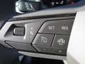 SEAT Arona 1,0 Eco TSI Reference Edition Schwarz - thumbnail 12