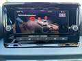 SEAT Arona Style 1.0 TSI Grau - thumbnail 10