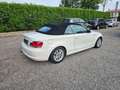 BMW 118 118d Cabrio Attiva Bianco - thumbnail 6
