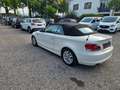 BMW 118 118d Cabrio Attiva Bianco - thumbnail 4