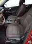 Ford Kuga Plug-in Híbrido K2.5 Duratec PHEV ST-Line 4x2 Rojo - thumbnail 14