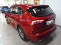 Ford Kuga Plug-in Híbrido K2.5 Duratec PHEV ST-Line 4x2 Rojo - thumbnail 11