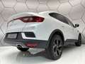 Renault Arkana R.S. Line E-TECH 160 Hybrid Navi Kamera White - thumbnail 10