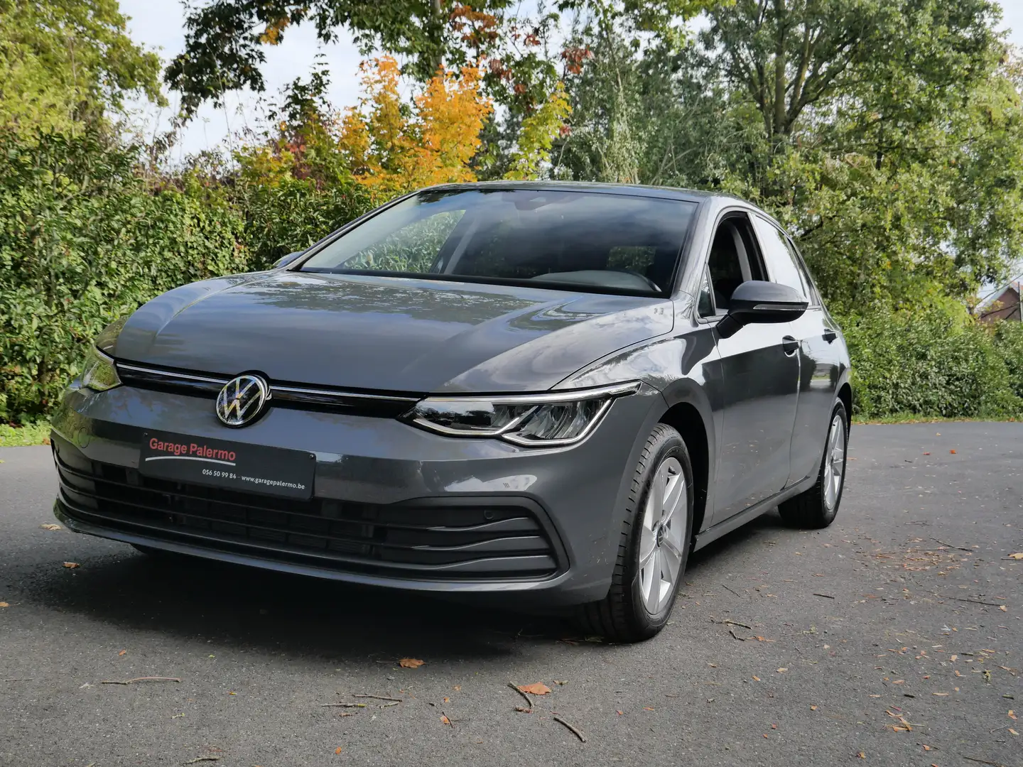 Volkswagen Golf 8 - 1.5e TSI MHEV - DSG Grijs - 1