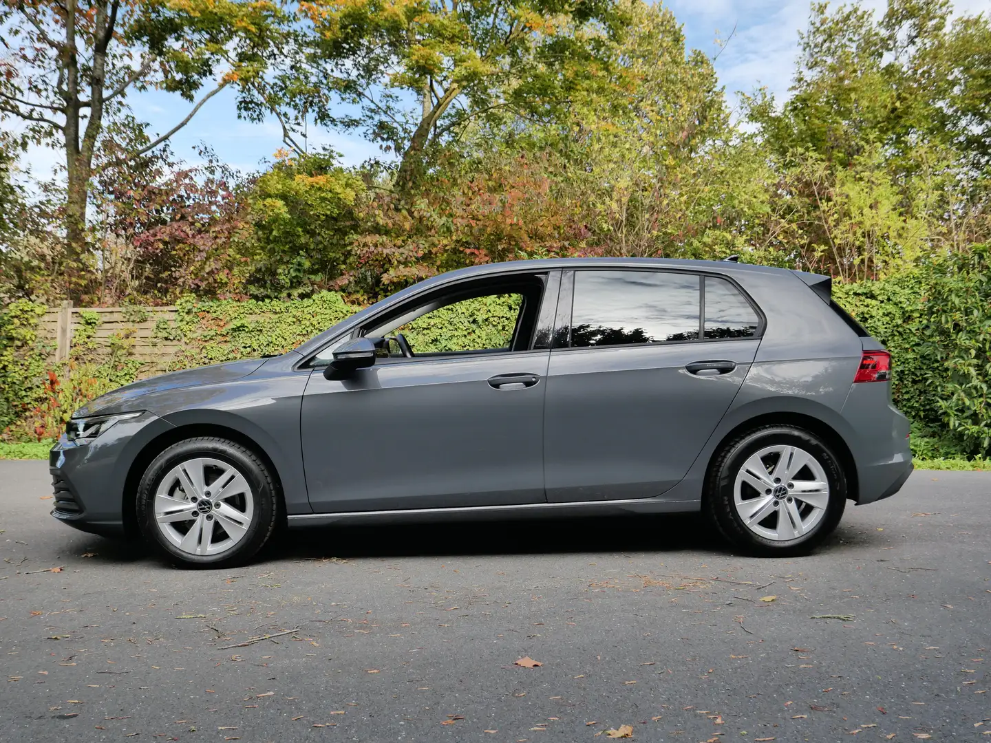 Volkswagen Golf 8 - 1.5e TSI MHEV - DSG Grijs - 2