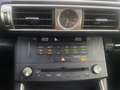 Lexus IS 300 300h 25th Edition XENON CAMERA HALF LEER LED NAVI Gris - thumbnail 13