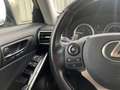 Lexus IS 300 300h 25th Edition XENON CAMERA HALF LEER LED NAVI Grijs - thumbnail 20