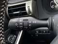 Lexus IS 300 300h 25th Edition XENON CAMERA HALF LEER LED NAVI Grau - thumbnail 27
