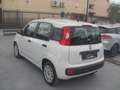 Fiat Panda Panda 1.2 EasyPower Easy Blanco - thumbnail 3