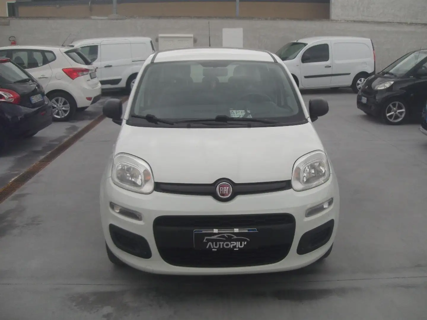 Fiat Panda Panda 1.2 EasyPower Easy Blanco - 1